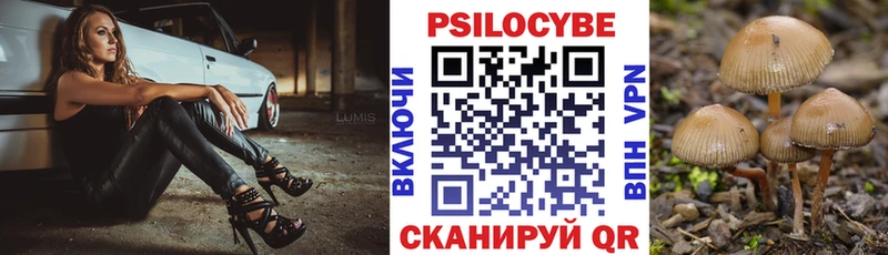 Псилоцибиновые грибы мухоморы купить сайты блэк спрут ТОР Боготол